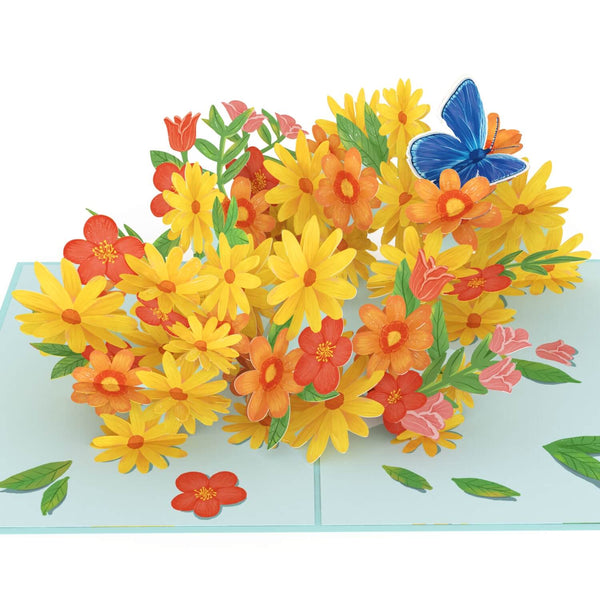 Biglietto Biglietto pop-up con margherite colorate e farfalle
