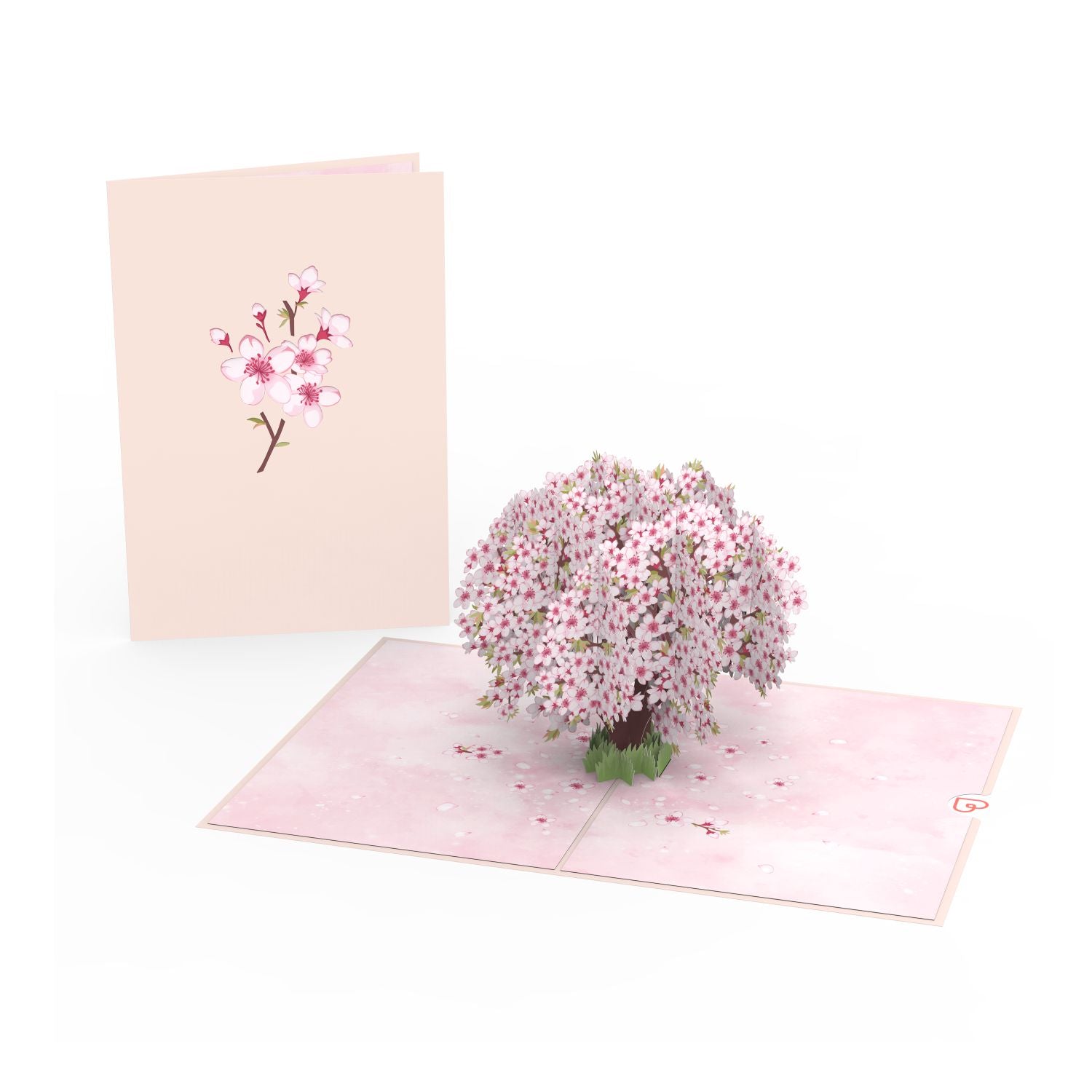 Biglietto pop-up con fiori di ciliegio