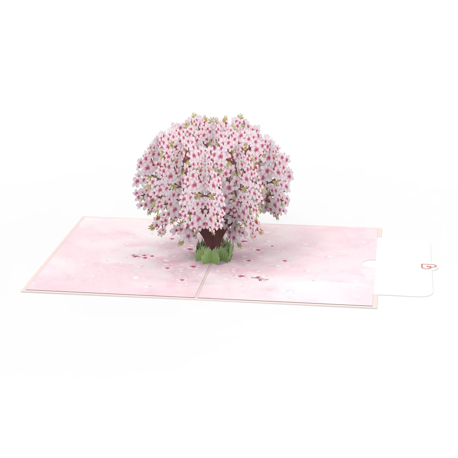 Biglietto pop-up con fiori di ciliegio