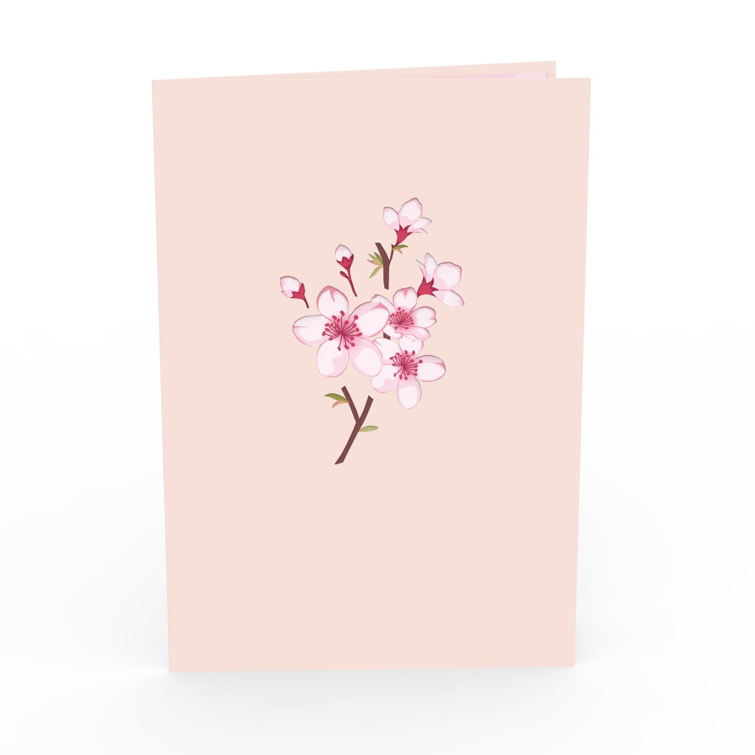 Biglietto pop-up con fiori di ciliegio