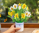 Narzissen Pop-Up Blumenstrauß