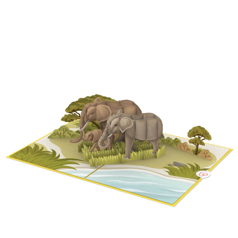 Biglietto pop-up con elefante