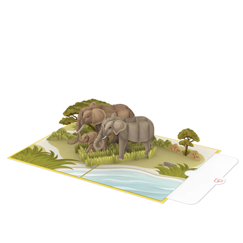Biglietto pop-up con elefante