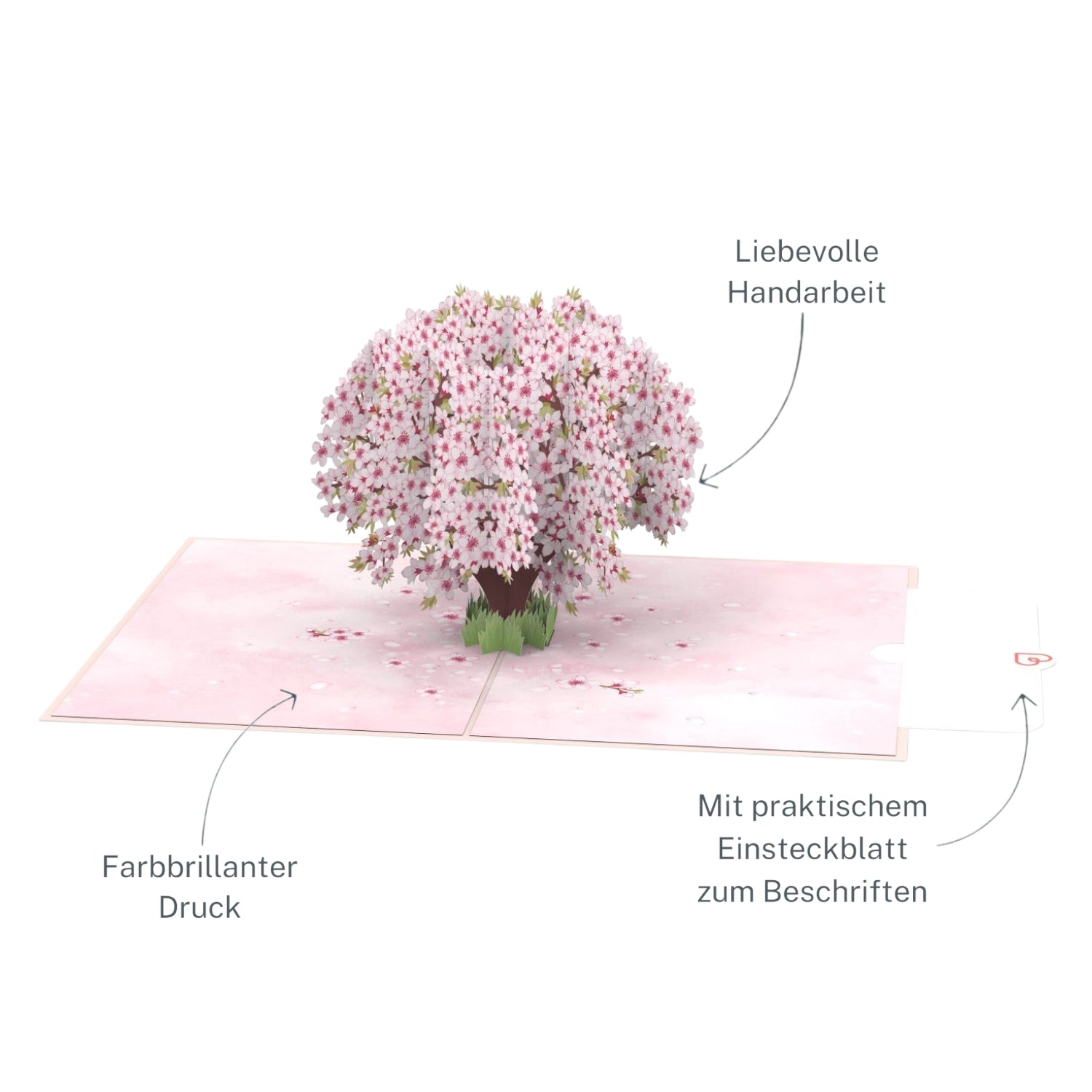Biglietto pop-up con fiori di ciliegio