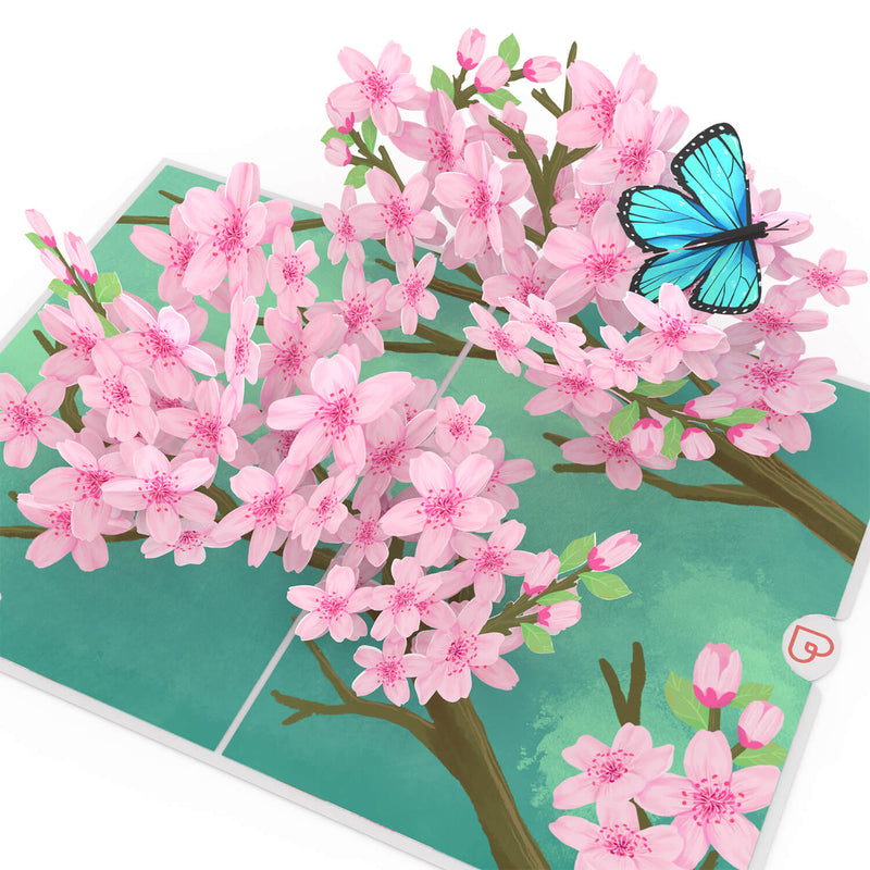 DOCEPERT Biglietti di compleanno pop-up per donne, colibrì e fiori, biglietto pop-up per anniversario, divertente biglietto regalo 3D per mamma, nonne, mogli e ragazze DOCEPERT Biglietti di compleanno pop-up per donne, colibrì e fiori, biglietto pop-up per anniversario, divertente biglietto regalo 3D per mamma, nonne, mogli e ragazze