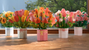 papercrush Pop Up Blumensträuße