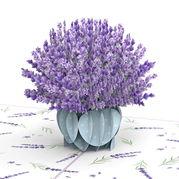 Biglietto pop-up color lavanda