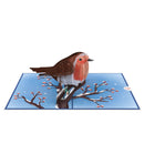 Biglietto Biglietto pop-up Pettirossi in inverno