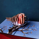 Biglietto Biglietto pop-up Pettirossi in inverno